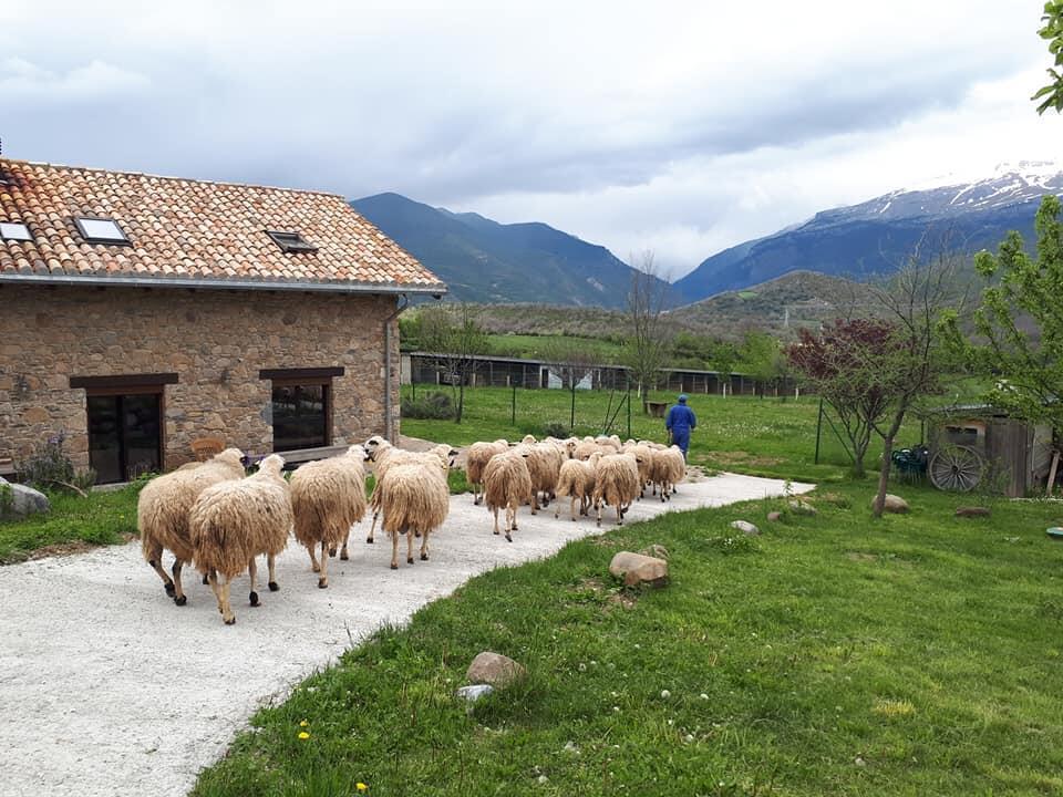 Albergue A'Noguera Castiello de Jaca Dış mekan fotoğraf