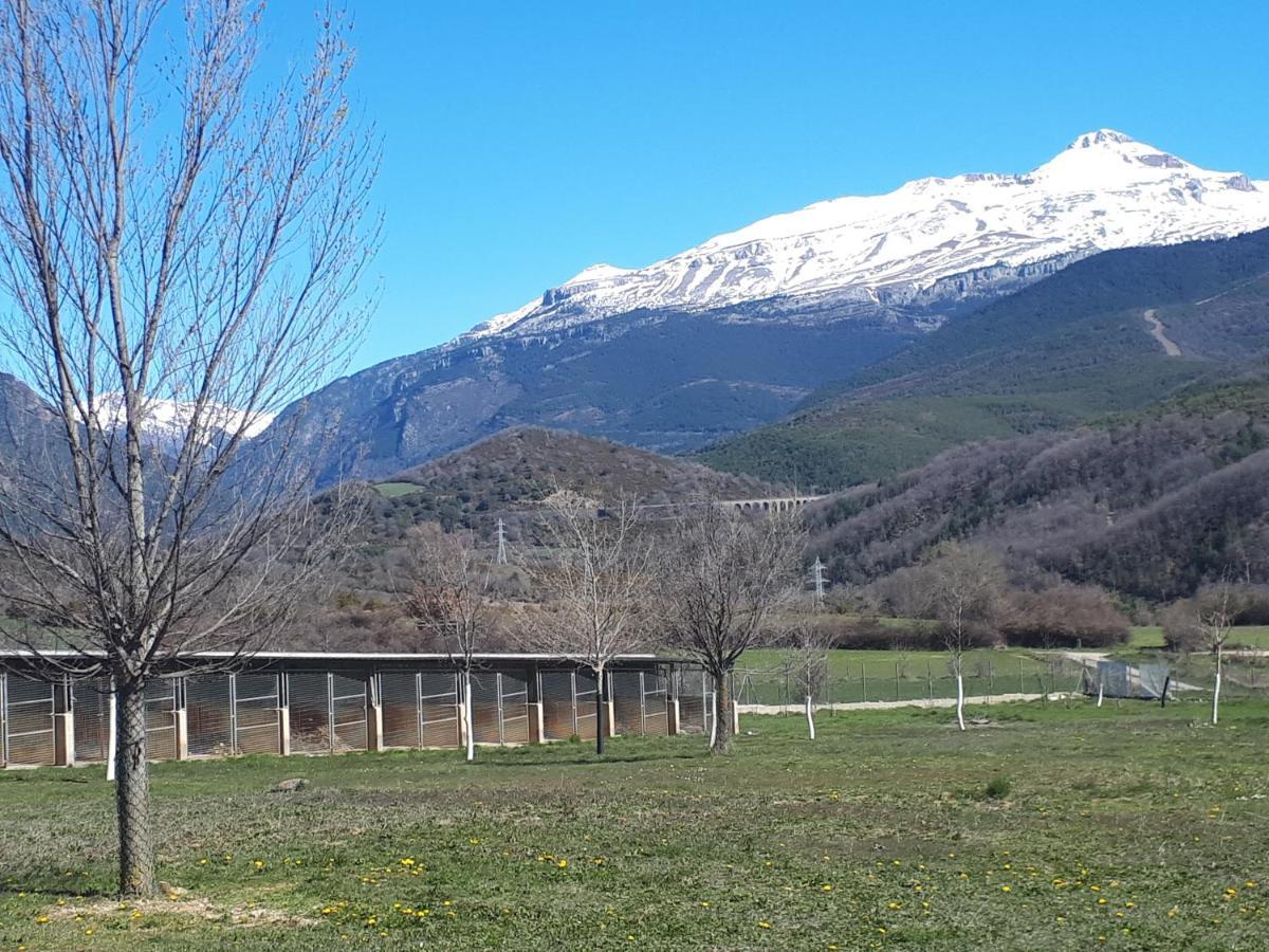 Albergue A'Noguera Castiello de Jaca Dış mekan fotoğraf