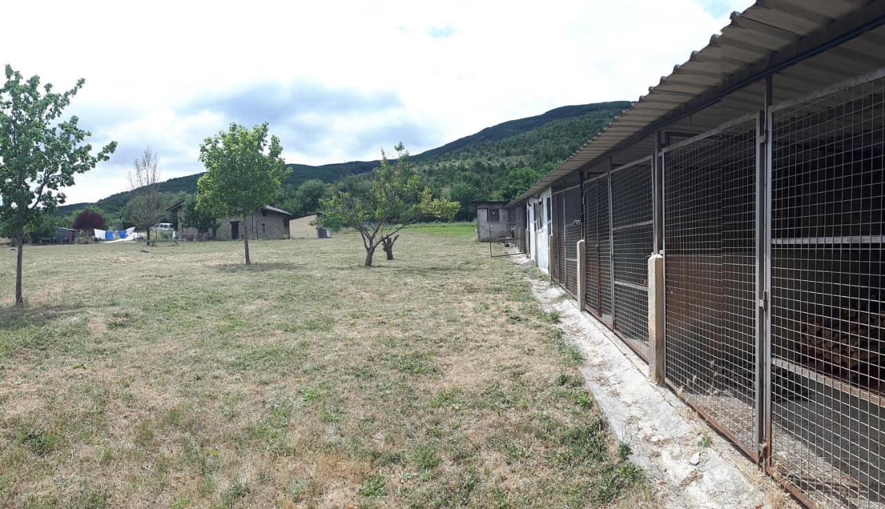 Albergue A'Noguera Castiello de Jaca Dış mekan fotoğraf